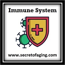 Immune System Icon by Secret of Aging